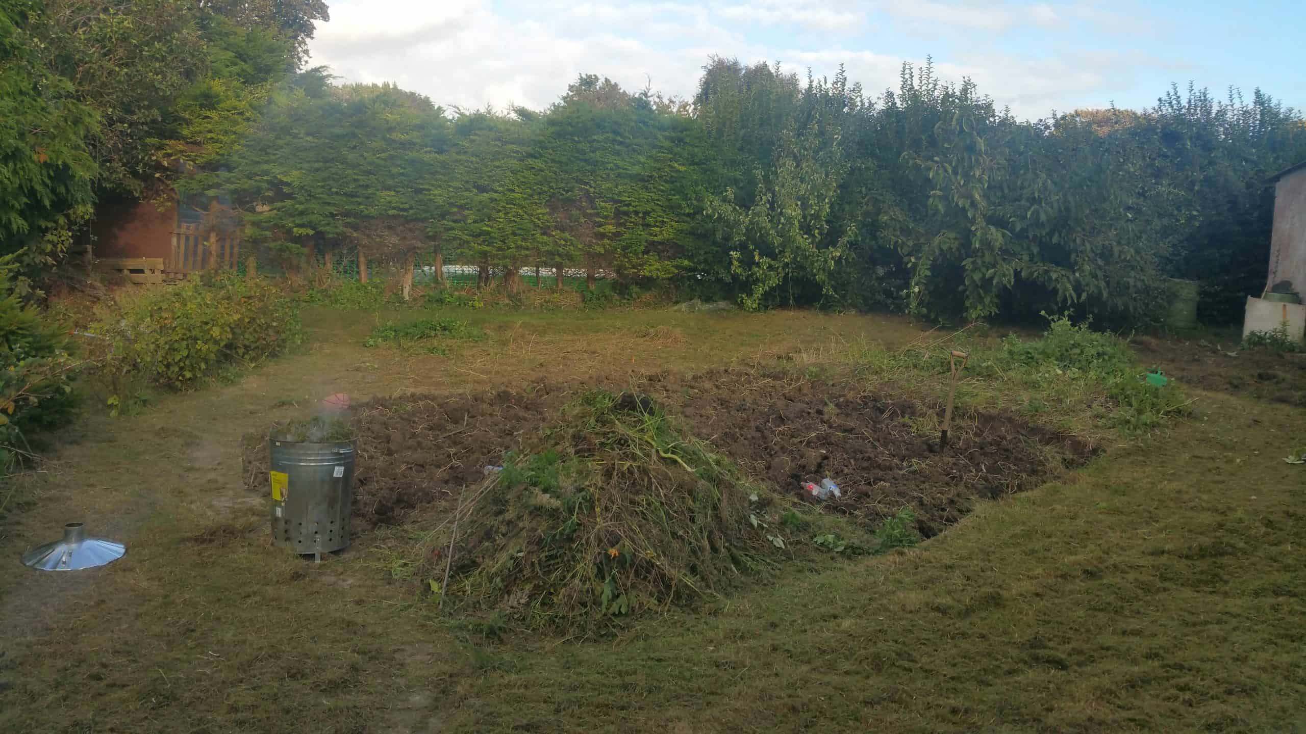 Two Weeks To Go and Mrs Grumble Baffles Me 3 The Garden After I tinkered