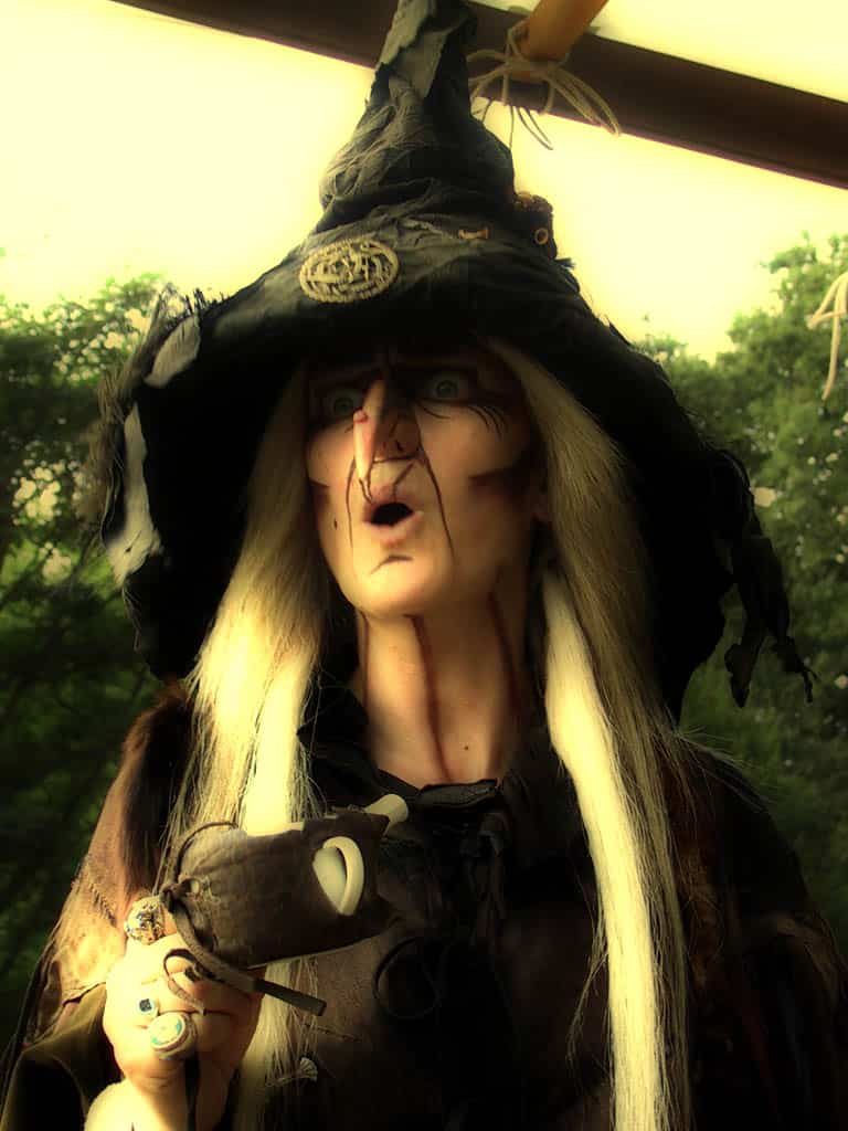 Wicked Witches Of West Sussex