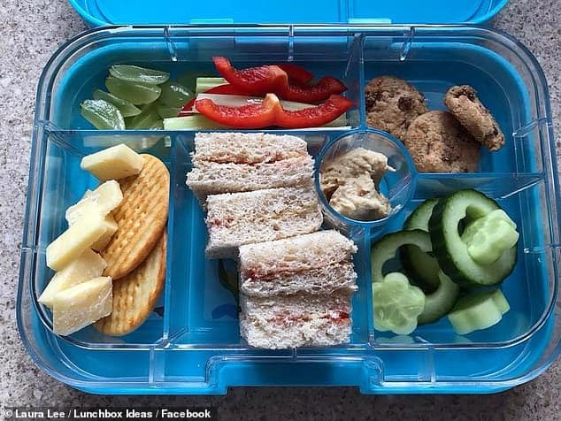 Mother’s anger after three mini cookies in her son’s lunchbox was sent HOME by his nursery for being too ‘unhealthy.’ 1