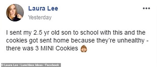 Mother’s anger after three mini cookies in her son’s lunchbox was sent HOME by his nursery for being too ‘unhealthy.’ 2