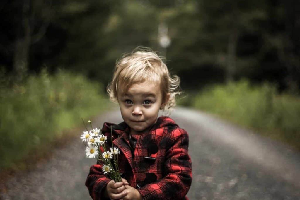 5 Great Tips on Navigating the Toddler Years 1 5 Tips on Navigating the Toddler Years