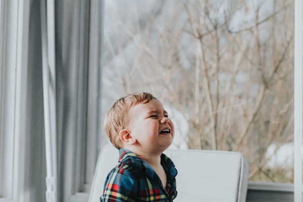 5 Great Tips on Navigating the Toddler Years 3 5 Great Tips on Navigating the Toddler Years 2