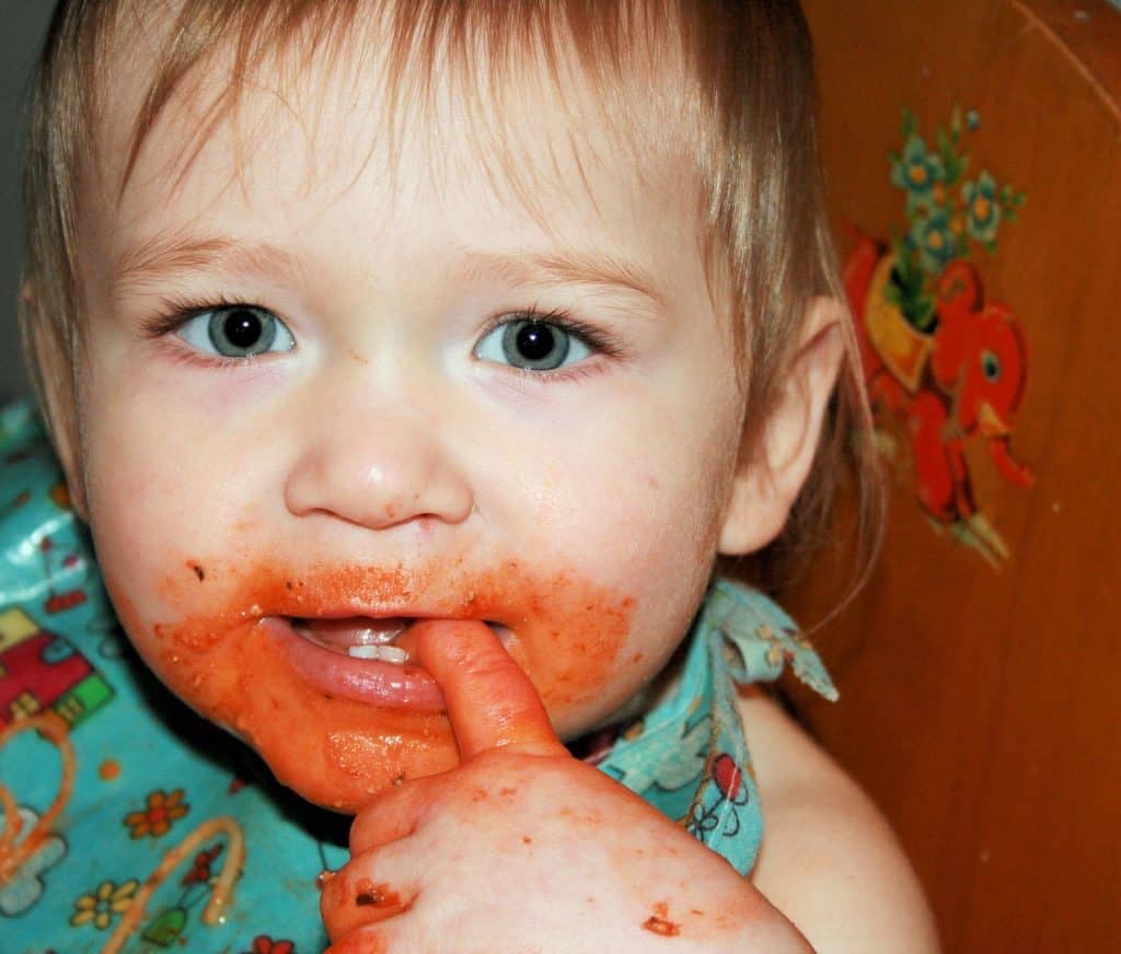Dealing With  A Fussy Eater