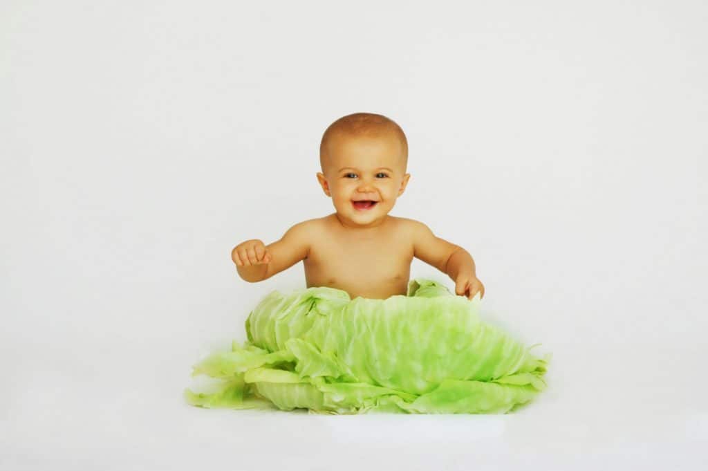 Help with Baby Led Weaning 1 Baby led weaning