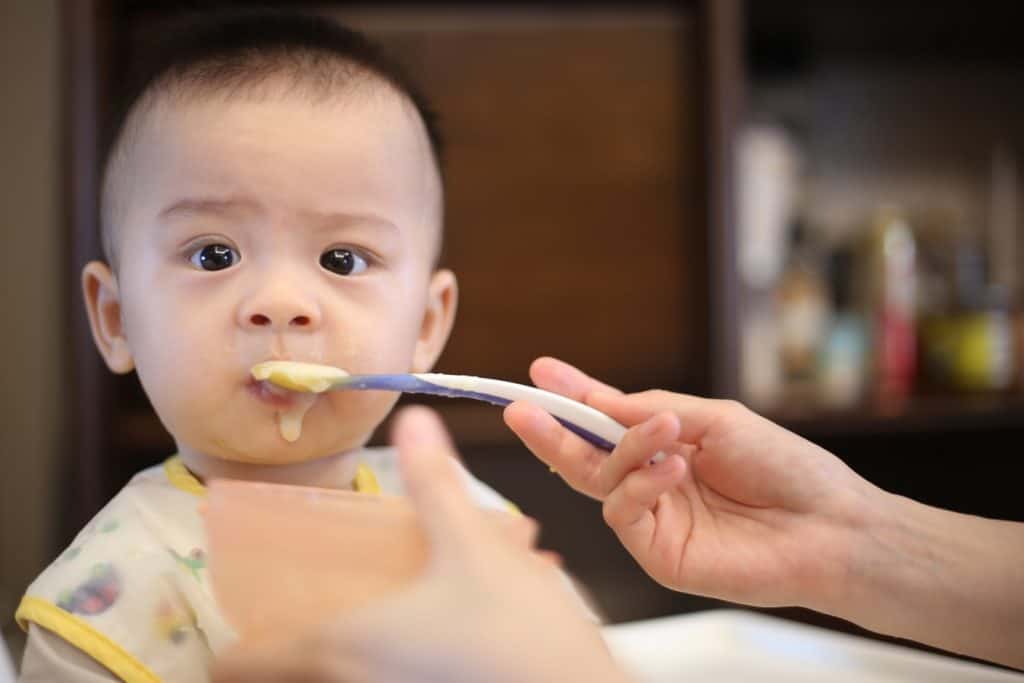 Making Homemade Baby Food