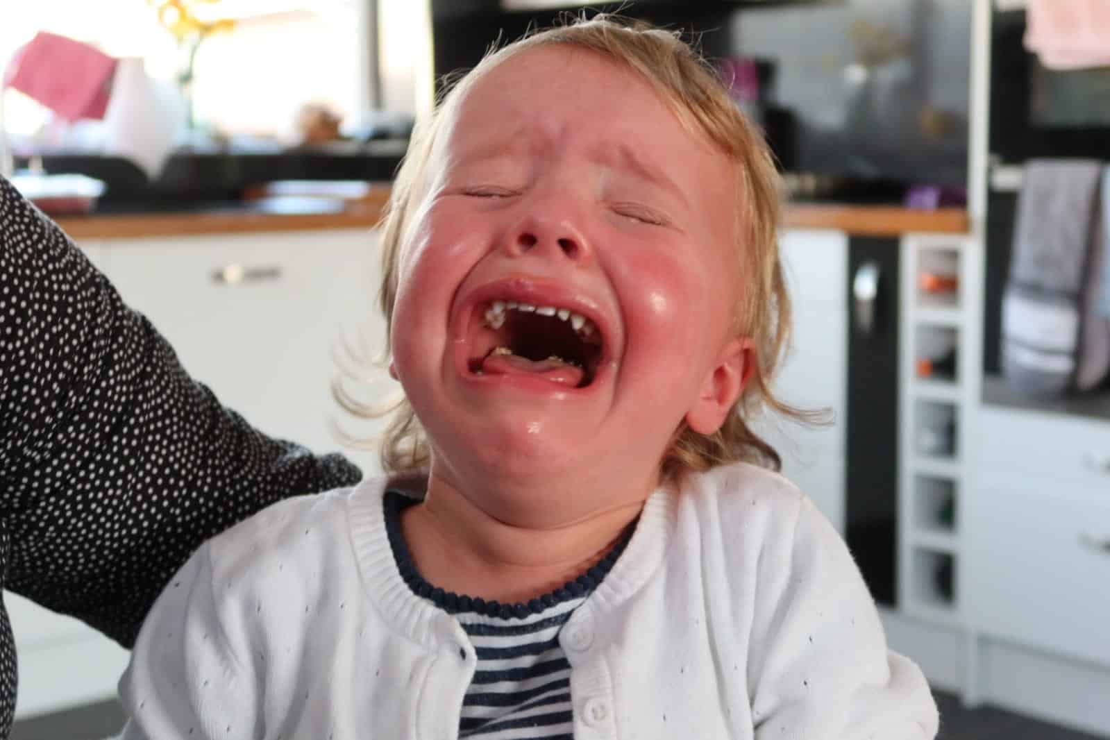 How To Cope With Your Child's Tantrums Whoobly