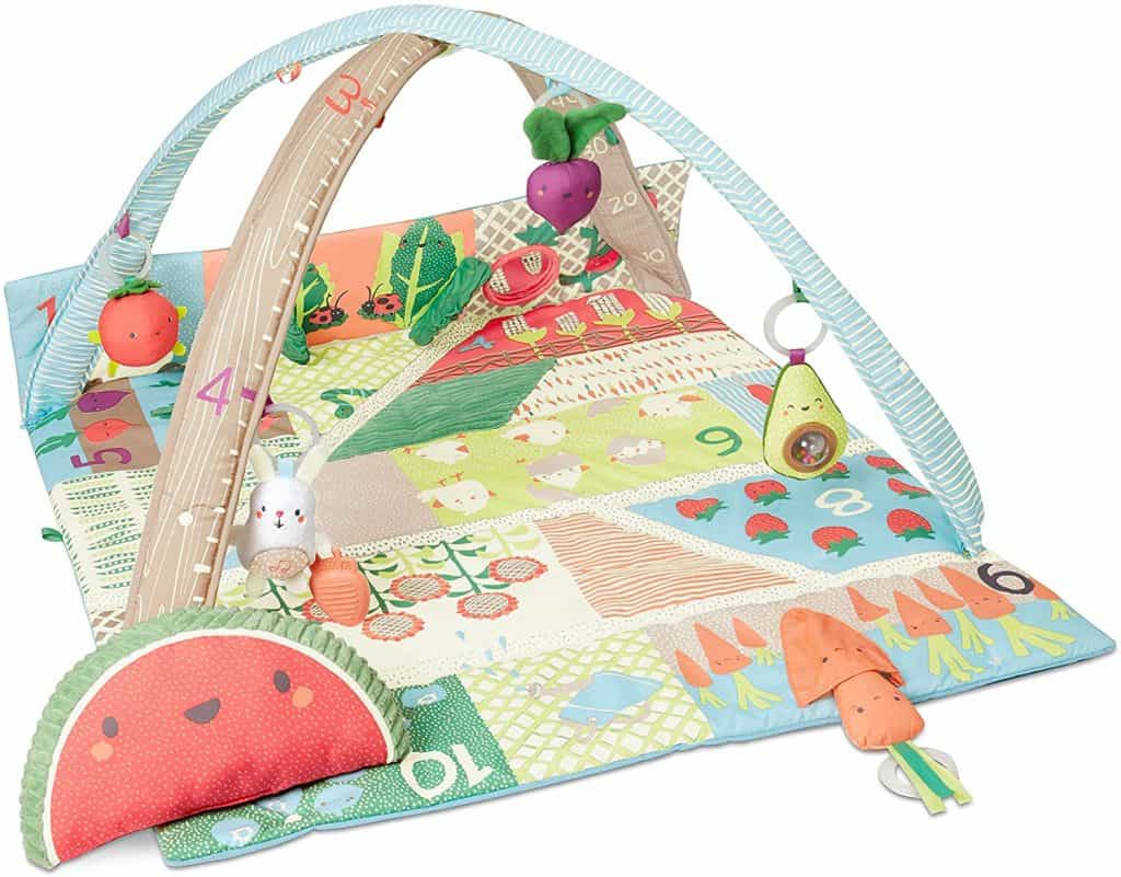 What Is The Best Baby Play Gym?