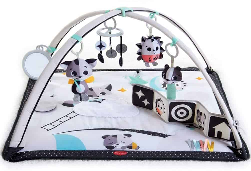 What Is The Best Baby Play Gym? 2 TINY LOVE BLACK AND WHITE GYMINI