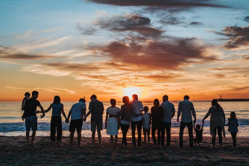 Understanding the Internal Family Systems Model Better 1 Understanding the Internal Family Systems Model