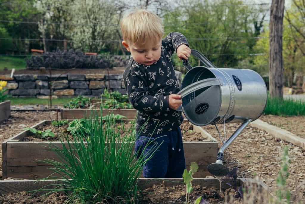 Chart your Child's Accomplishments with a Chore Chart 1